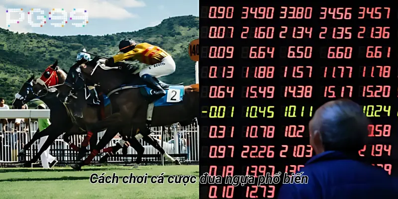 Cách chơi cá cược đua ngựa phổ biến