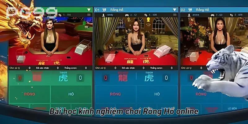 Bài học kinh nghiệm chơi Rồng Hổ online