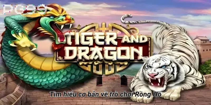 Tìm hiểu cơ bản về trò chơi Rồng Hổ