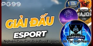 Nghiên Cứu Các Giải Đấu Esports Lớn Tại Việt Nam