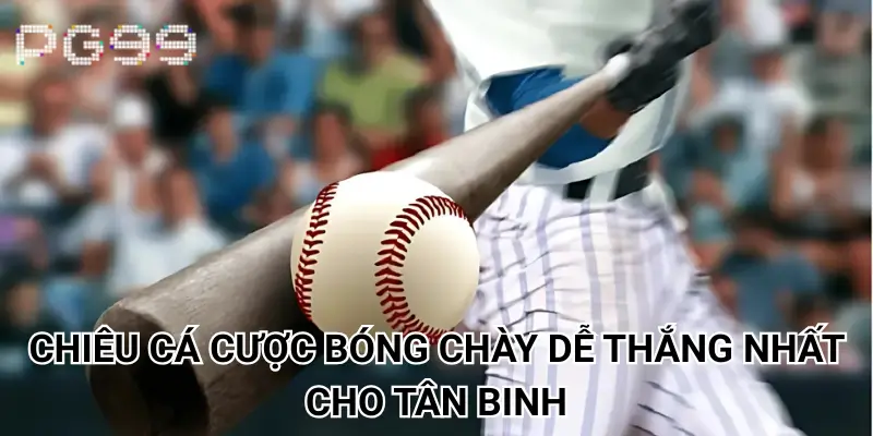 Chiêu cá cược bóng chày dễ thắng nhất cho tân binh