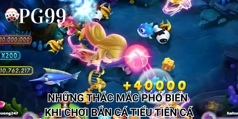 Những thắc mắc phổ biến khi chơi bắn cá tiểu tiên cá
